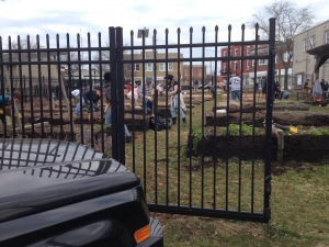 2019 Garden Bed Rebuild