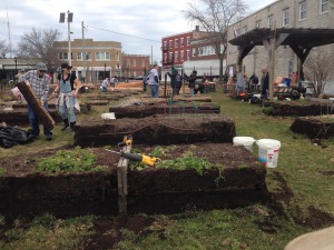 2019 Garden Bed Rebuild