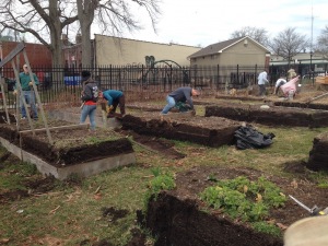 2019 Garden Bed Rebuild