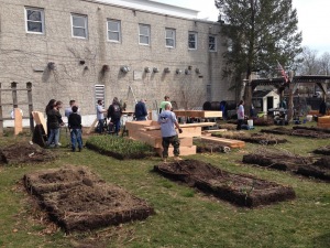 2019 Garden Bed Rebuild