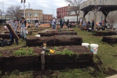 2019 Garden Bed Rebuild