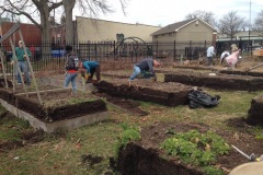 2019 Garden Bed Rebuild