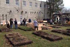 2019 Garden Bed Rebuild