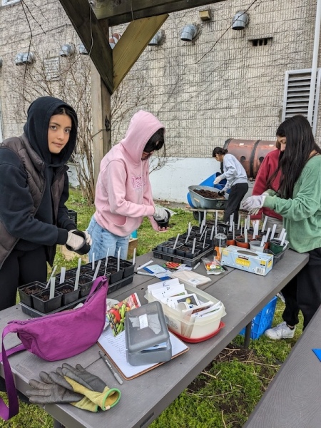 Volunteers at Work